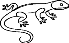 Eidechse