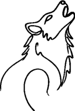 Kopf vom Wolf